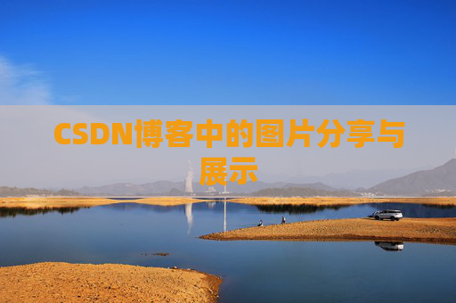 CSDN博客中的图片分享与展示